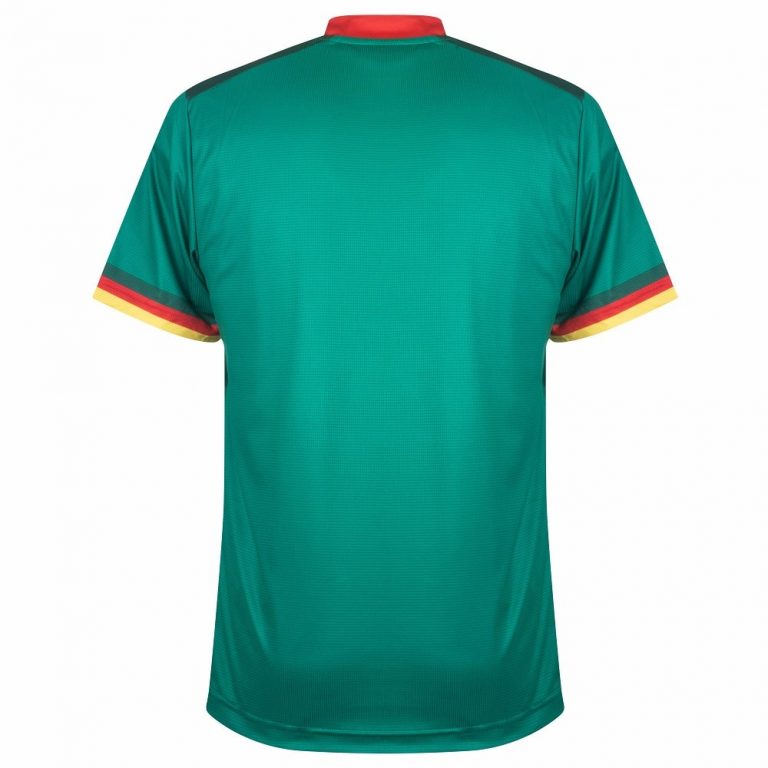 Maillot Cameroun 2022/2023 Domicile Vert