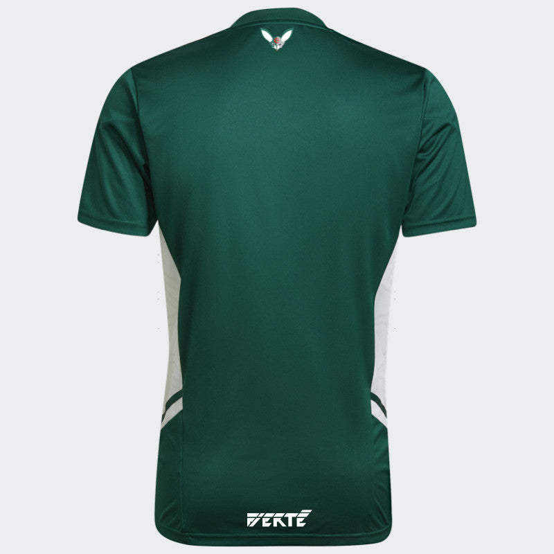 Maillot Algérie x Palestine 2023 Vert